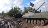 січ,карпатська