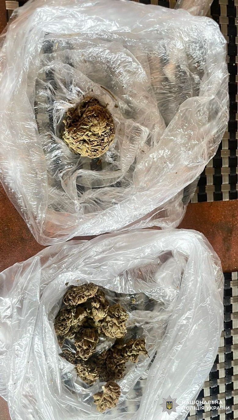 знищили плантацію конопель