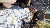 контрабанда волынь сигареты