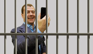 медведев,дмитрий