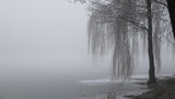 Помаранчевий рівень небезпеки оголошено в Києві через туман, - КМДА