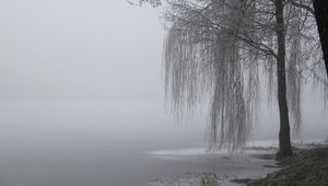 Синоптики обіцяють туманний ранок у Києві