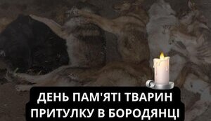 ТРАГЕДІЯ ПРИТУЛКУ В БОРОДЯНЦІ - КОТРА НЕ МАЄ ПОВТОРИТИСЯ НІКОЛИ