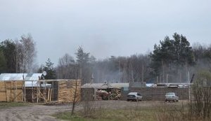 "Украинское Полесье уходит в топку": на Житомирщине уничтожаются леса ради древесного угля. ФОТОрепортаж+ВИДЕО