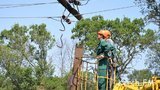 Пожар в Керчи: огонь сжег даже опоры линий электропередач. ФОТОрепортаж