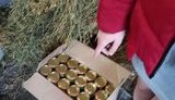 Две 16-летние девушки украли более 100 банок красной икры в Бердичеве, - Нацполиция