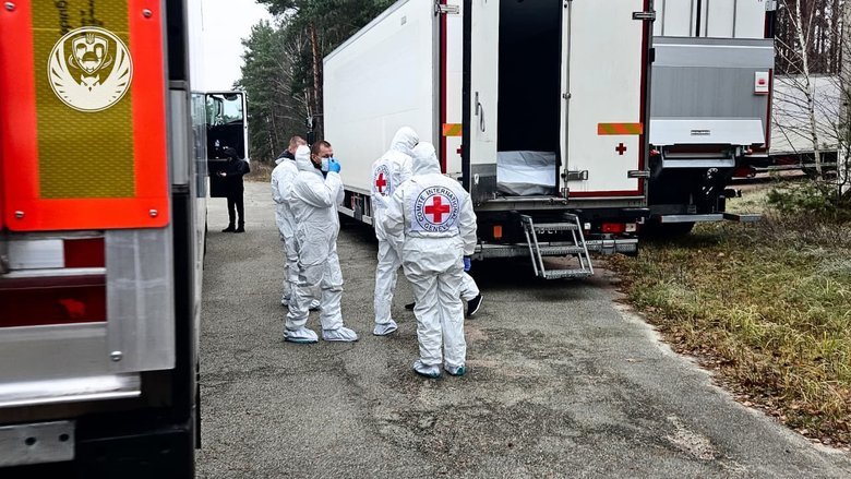 Repatriation measures on 20 November