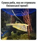 Життя глибин