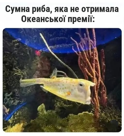 Життя глибин