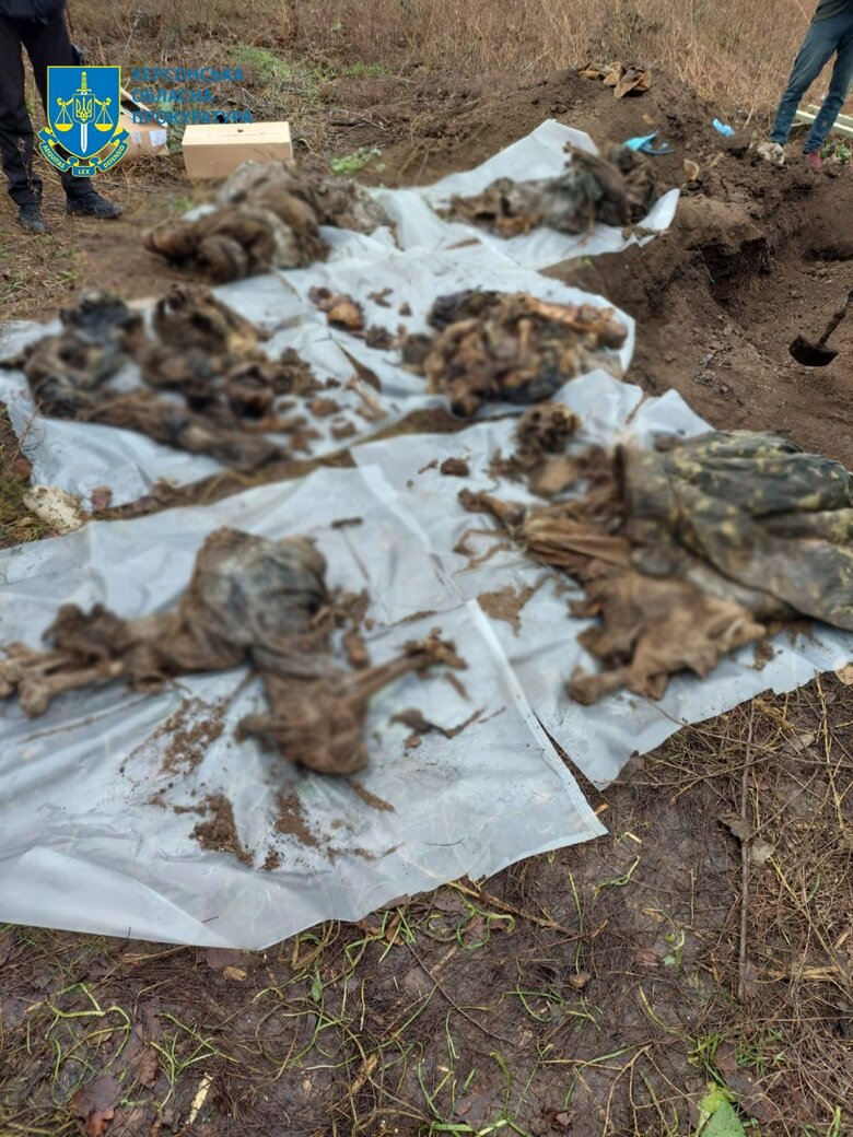 В Херсонской области эксгумировали тела семи мирных жителей, которых расстреляли военные РФ 01