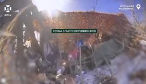 Воїни підрозділу "Aquila" знищила FPV-позиції та 11 укриттів ворога на Курському напрямку. ВIДЕО