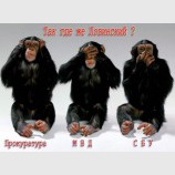 Так где же Лозинский?