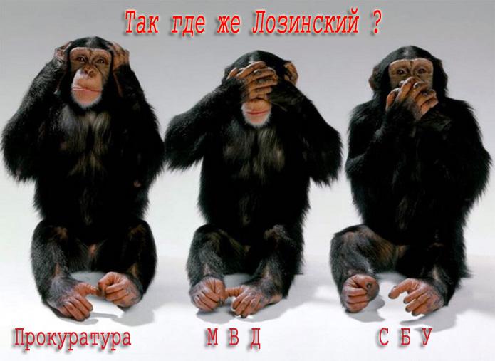 Так где же Лозинский?