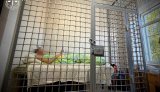 Organiser of the military exhibition in the Kyiv region, which was struck by the Russian Federation, has been detained – Kravchenko. PHOTO