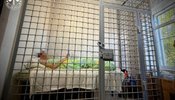 организатор военной выставки под Киевом