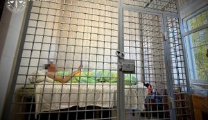 Organiser of the military exhibition in the Kyiv region, which was struck by the Russian Federation, has been detained – Kravchenko. PHOTO