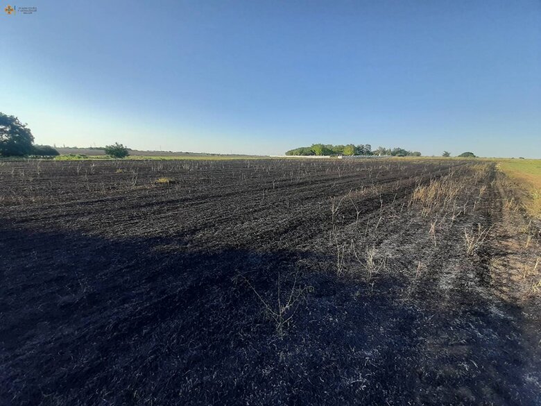 Окупанти демілітаризували села та ліси на Миколаївщині, вогнеборці гасили три пожежі, - Кім 03