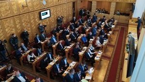Партия венгров покинула заседание Закарпатского облсовета в знак протеста против обысков СБУ. ВИДЕО