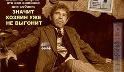 Дождались...