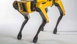 boston,dynamics
