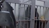 днр информатор