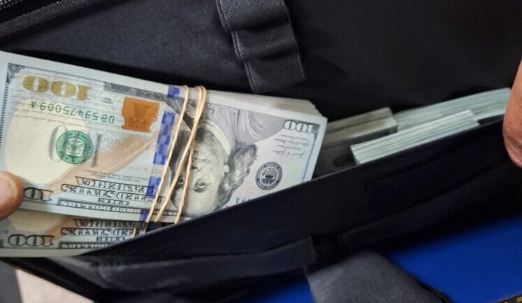 Truck driver attempted to smuggle $200,000 in cash to Romania. PHOTO