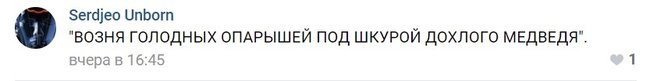Полковник ФСБ Гиркин объявил конкурс оскорблений Путина во Вконтакте 13