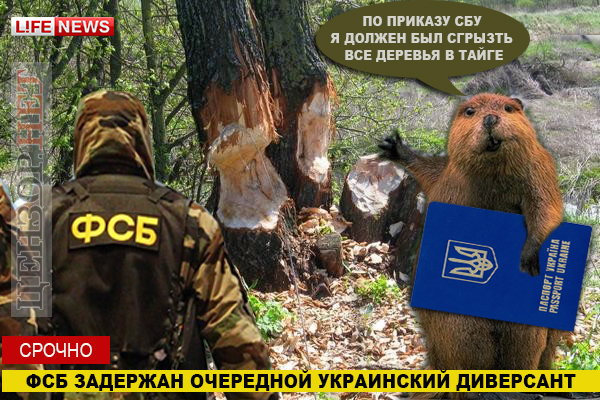 Новости для ваты
