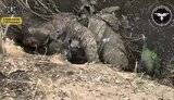 війна