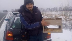 "Спасти рядового аиста": активист Тузяк расставляет кормушки для птиц, которых в Украине застало похолодание. ФОТОрепортаж