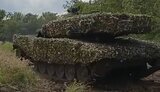 леопард