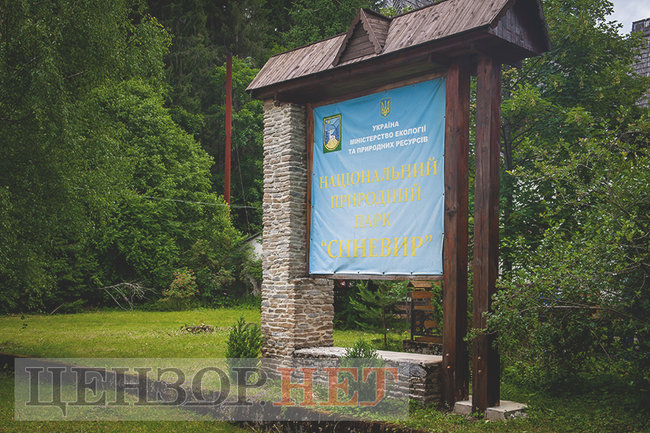 Смарагдові смереки, загадкові води, величезні гриби і врятовані ведмеді: літо на Синевирі 24