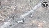 окупанти,біжать