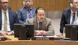 Україна повторно закликала Радбез ООН до реформи застосування права вето