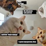 Вставай, Вова!