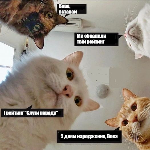 Вставай, Вова!
