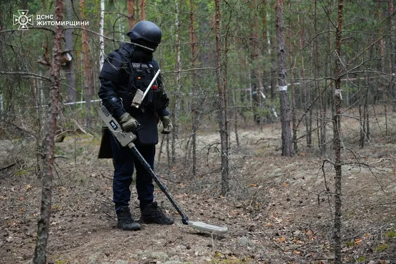 На Житомирщині загасили пожежу у Поліському заповіднику