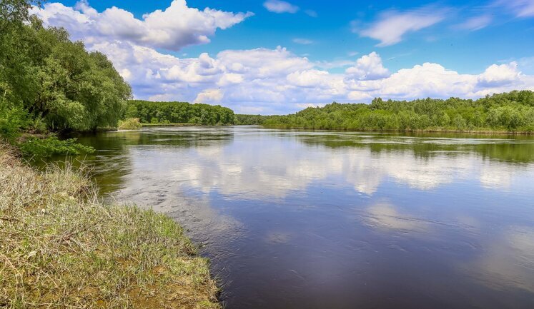 Repeated water pollution is recorded in Seim River - Ministry of Environment