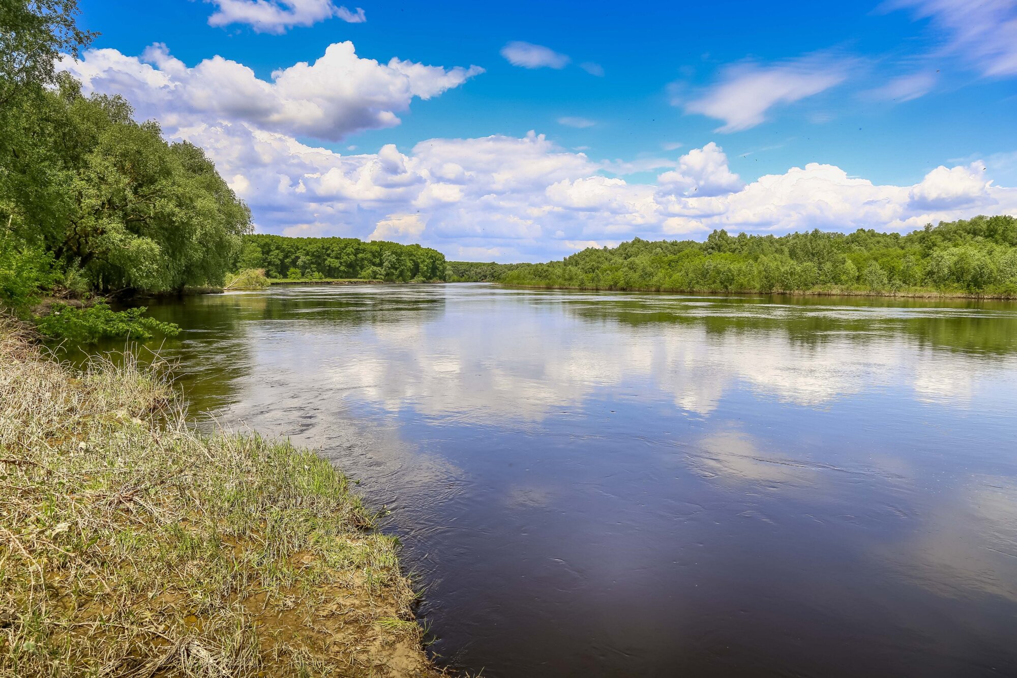 У Десні було виявлено отруйні речовини, екологи згодом спростували це ...