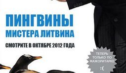 Спикер бросил пингвинят, ...