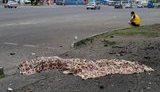 луганск