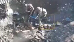 Бійці закидають два вулики із бджолами у погріб з окупантами. ВIДЕО