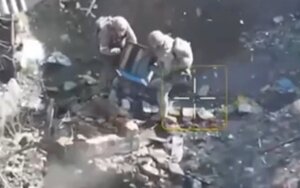 Soldiers throw hives with bees into occupiers’ cellar