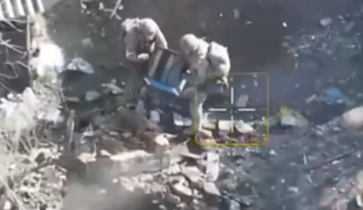 Бійці закидають два вулики із бджолами у погріб з окупантами. ВIДЕО