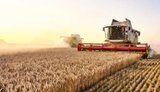 У Польщі оцінили вплив вступу України до ЄС на аграрний сектор