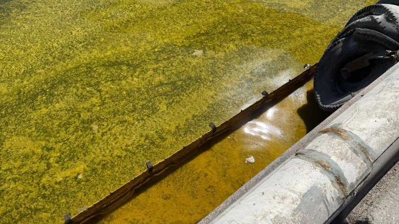 Удар по порту Чорноморська: в акваторію потрапили тисячі тонн олії