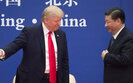 Трамп и Си Цзиньпин встретятся в апреле