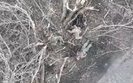 боєть добиває окупантів та забирає зброю
