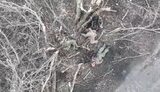 fighter kills occupiers and takes away their weapons