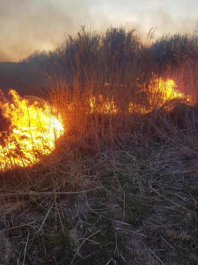 На Тернопільщині згорів орнітологічний заказник, - ДСНС 02